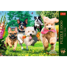                             Puzzle Pejskové 1000 dílků Puzzles Premium Plus                        