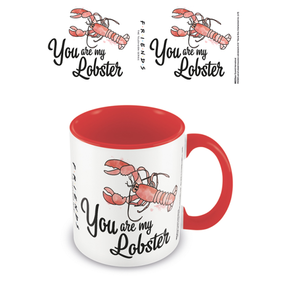 Hrnek barevný Přátelé (You are my lobster), 315 ml                    